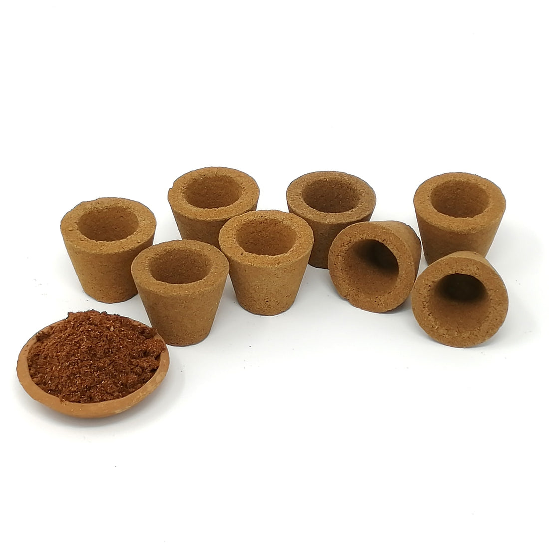 Best option for seed germination & alternative to plastic