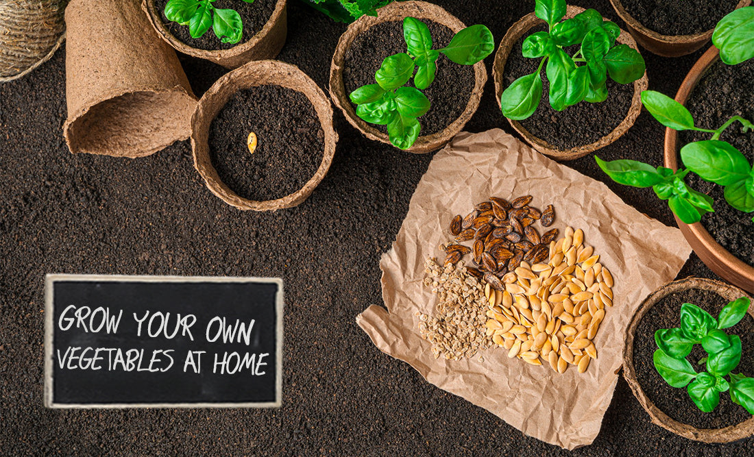Vegetable Seeds