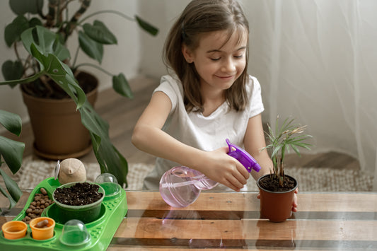 Top 7 trending Houseplants of 2021 to spruce up your house interior