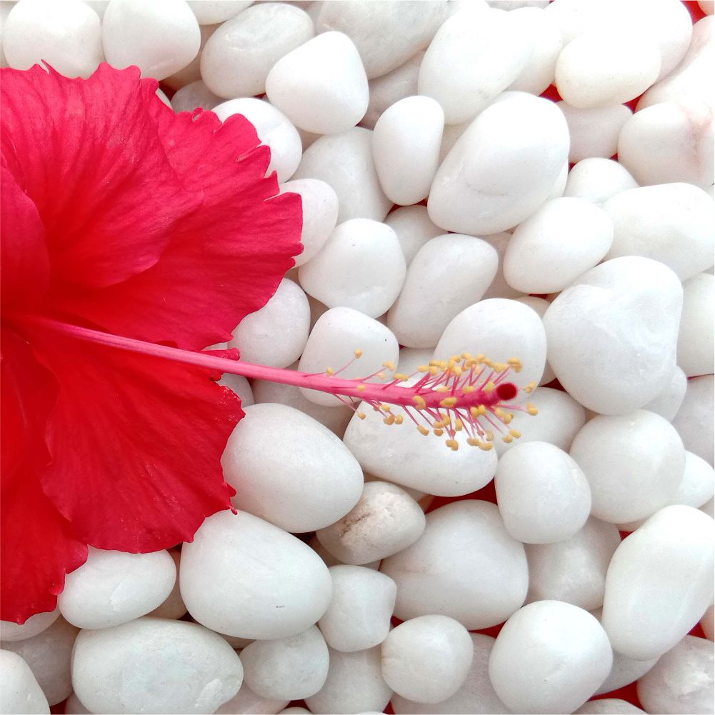 How to decorate garden with pebbles