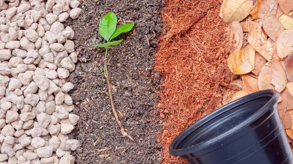 How and When to Add Pumice to Your Soil