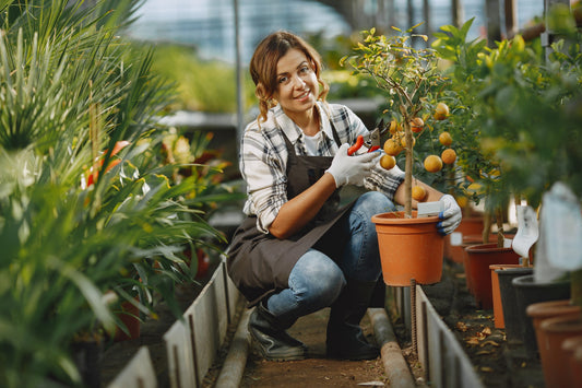 Organic Gardening