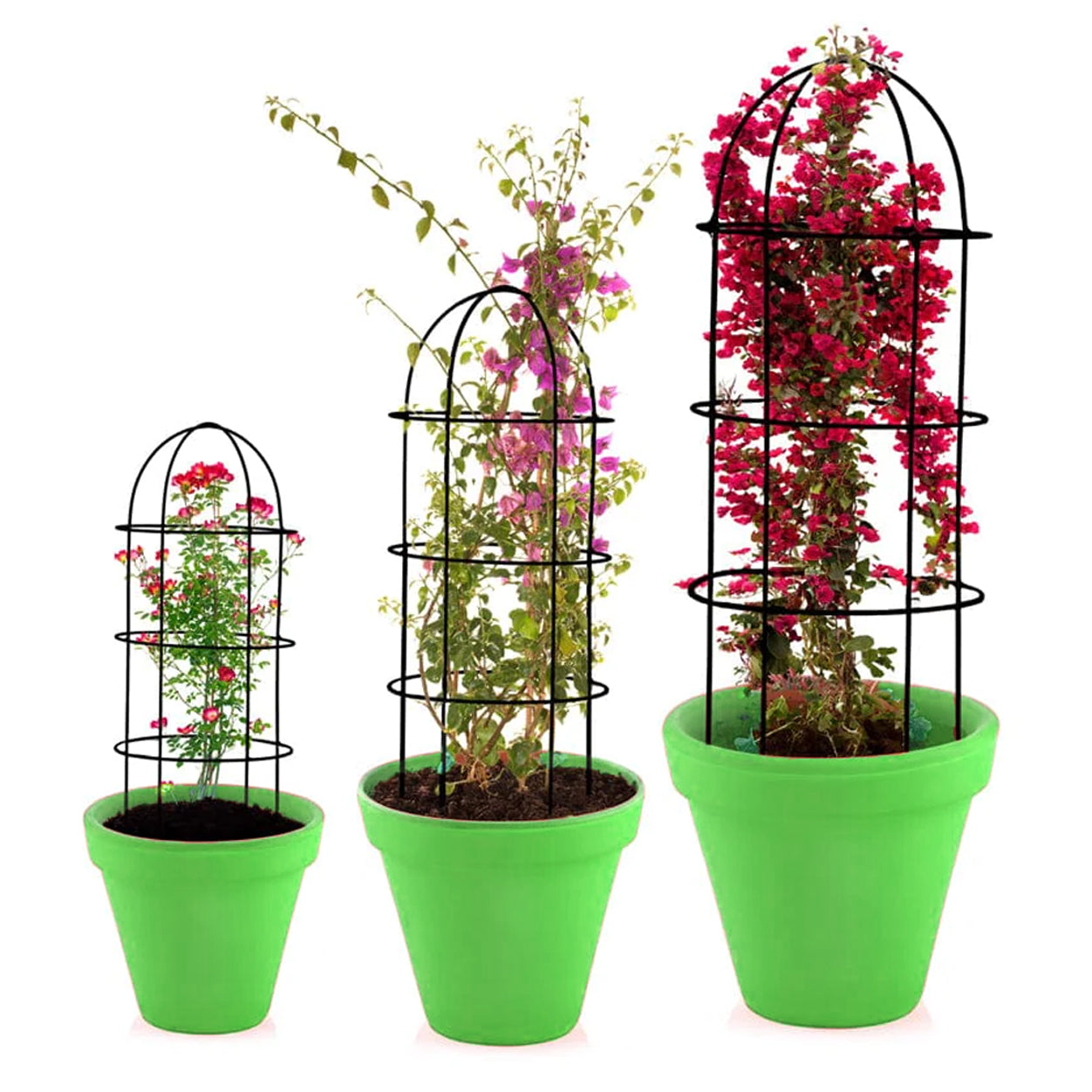 Casa De Amor Obelisk trellis for Plant Support- Set of 3