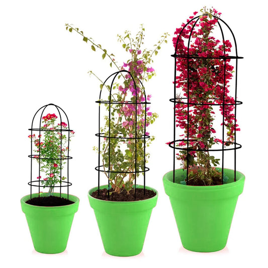 Casa De Amor Obelisk trellis for Plant Support- Set of 3