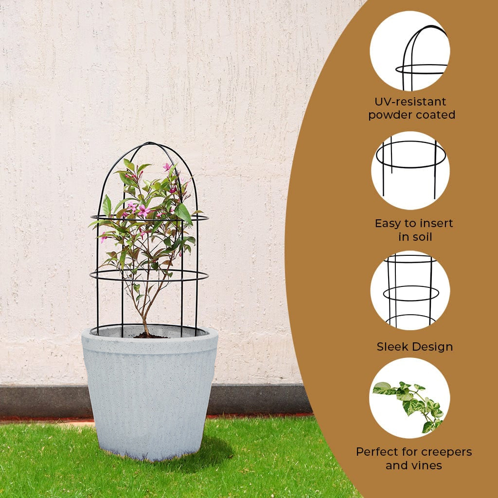 Casa De Amor Obelisk trellis for Plant Support- Set of 3