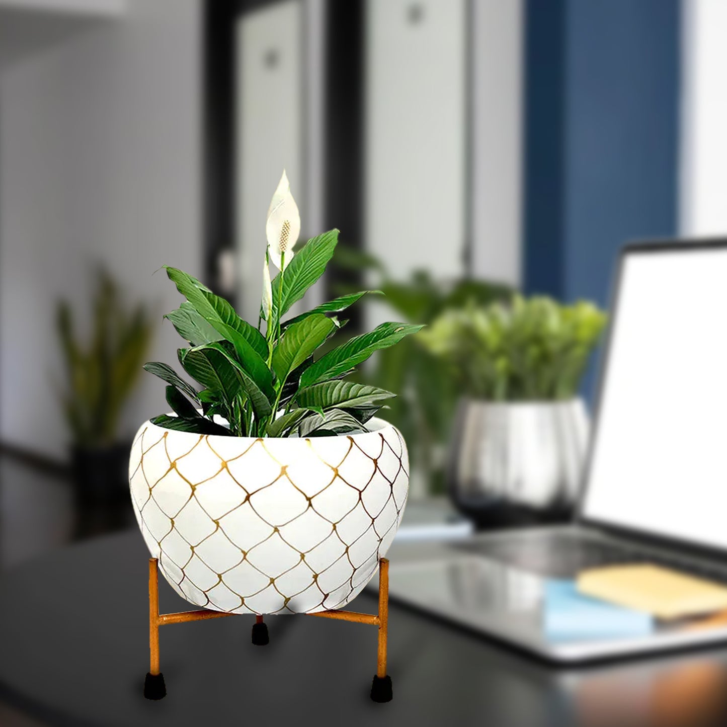 Casa De Amor Table-Top Metal Pot with Stand for Stylish Indoor and Outdoor Decor