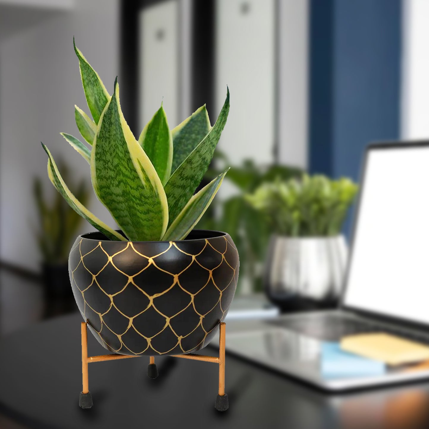 Casa De Amor Table-Top Metal Pot with Stand for Stylish Indoor and Outdoor Decor