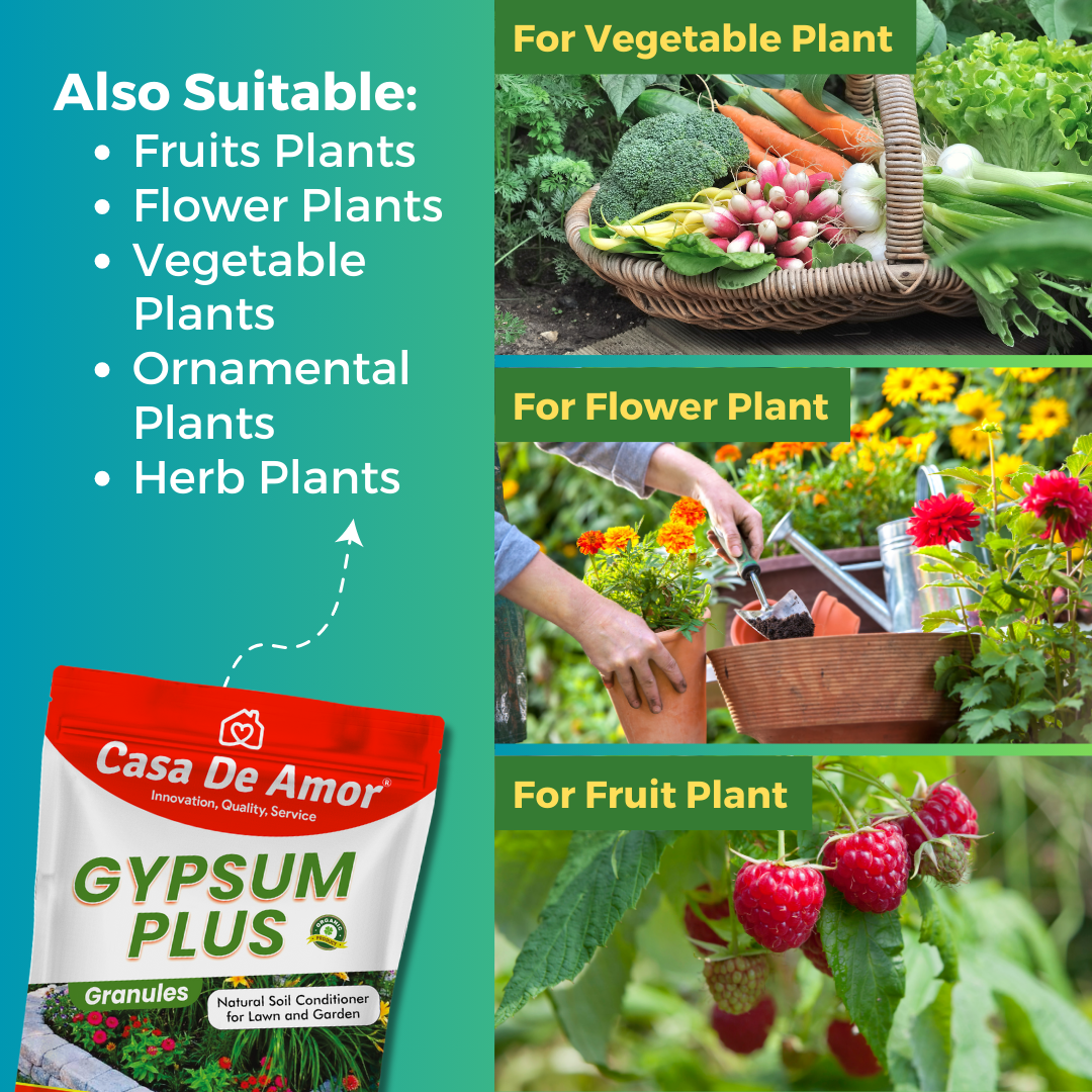 Casa De Amor Gypsum for Plants Natural Soil Conditioner for Lawn and Garden