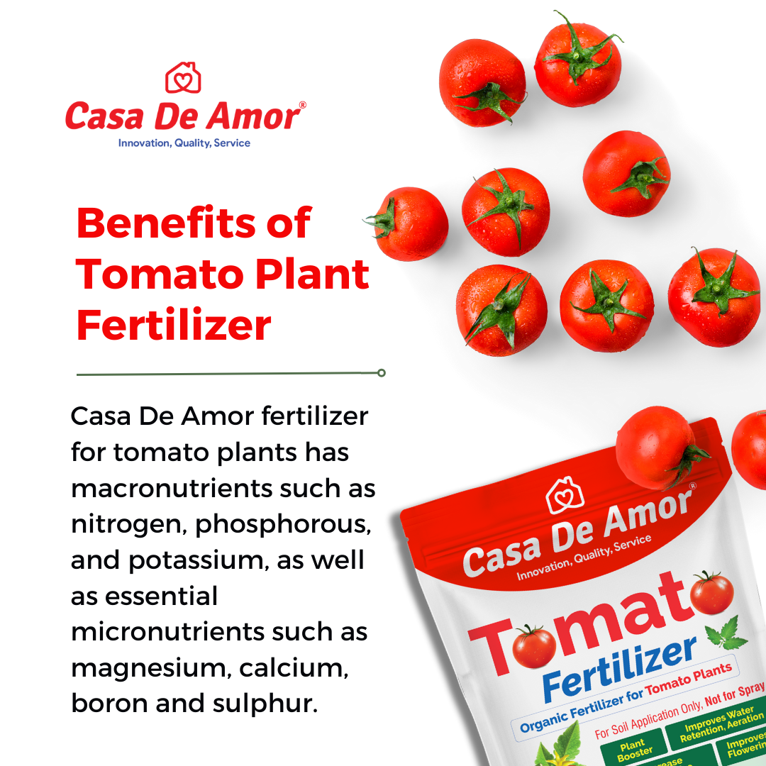 Casa De Amor Tomato Fertilizer Organic for Home, Balcony, Terrace & Outdoor Gardening