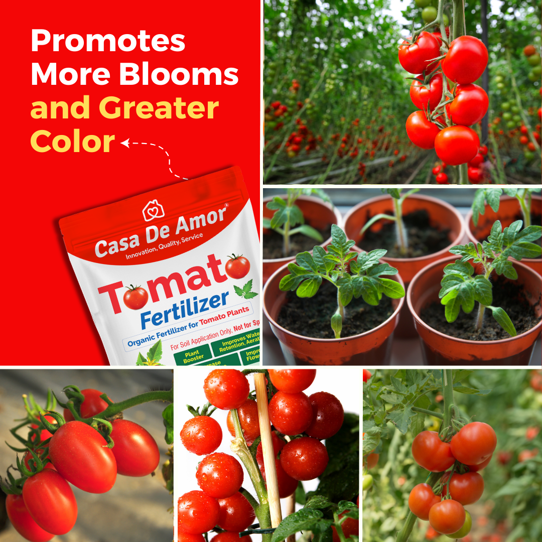 Casa De Amor Tomato Fertilizer Organic for Home, Balcony, Terrace & Outdoor Gardening