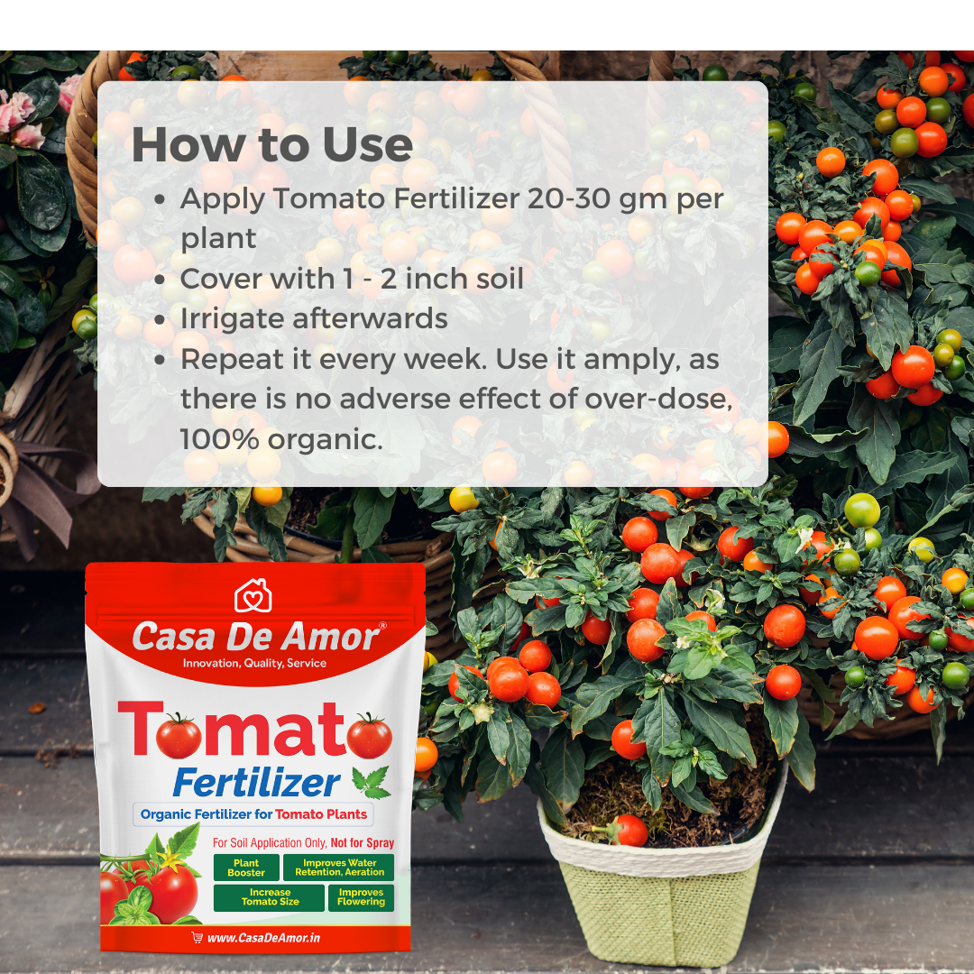 Casa De Amor Tomato Fertilizer Organic for Home, Balcony, Terrace & Outdoor Gardening