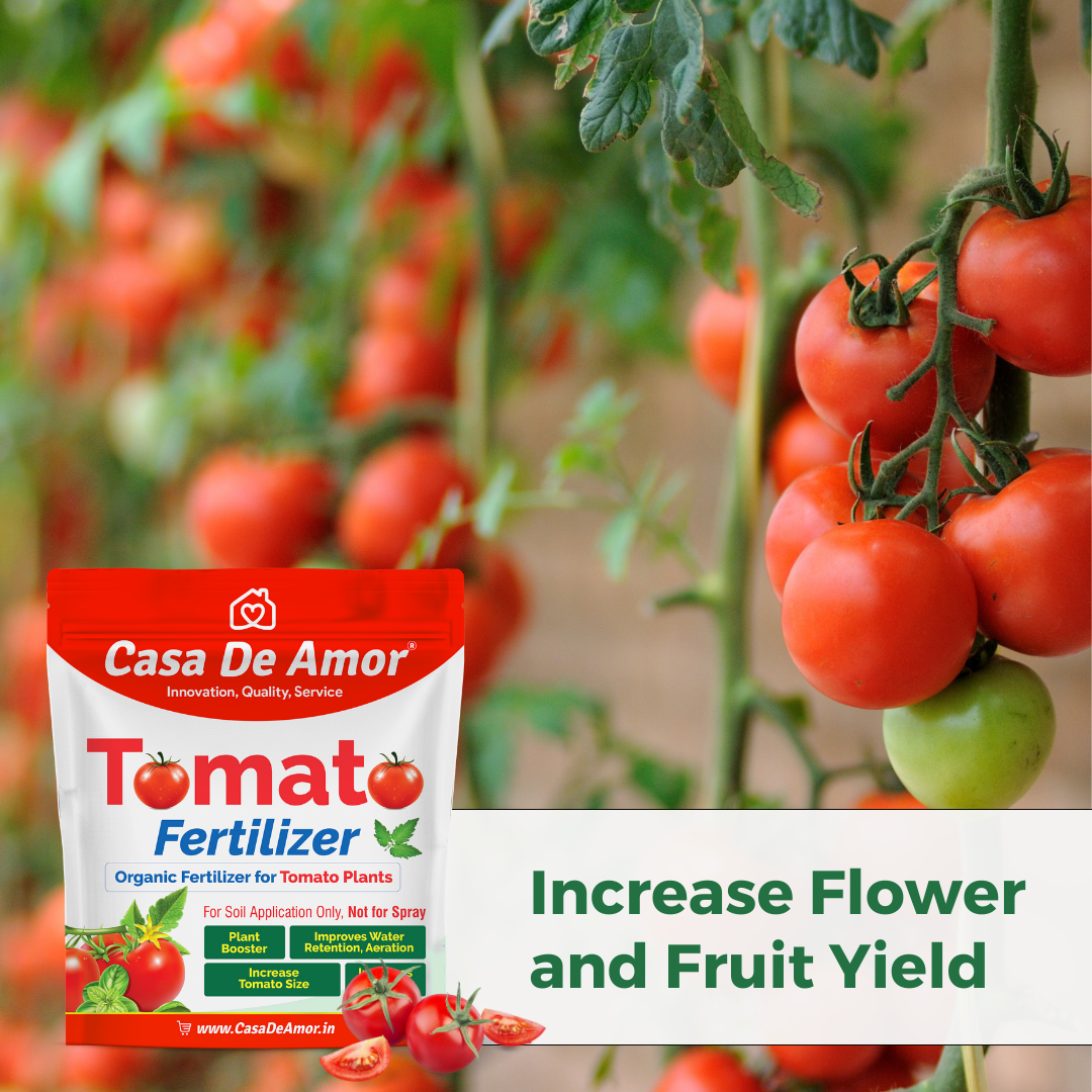 Casa De Amor Tomato Fertilizer Organic for Home, Balcony, Terrace & Outdoor Gardening