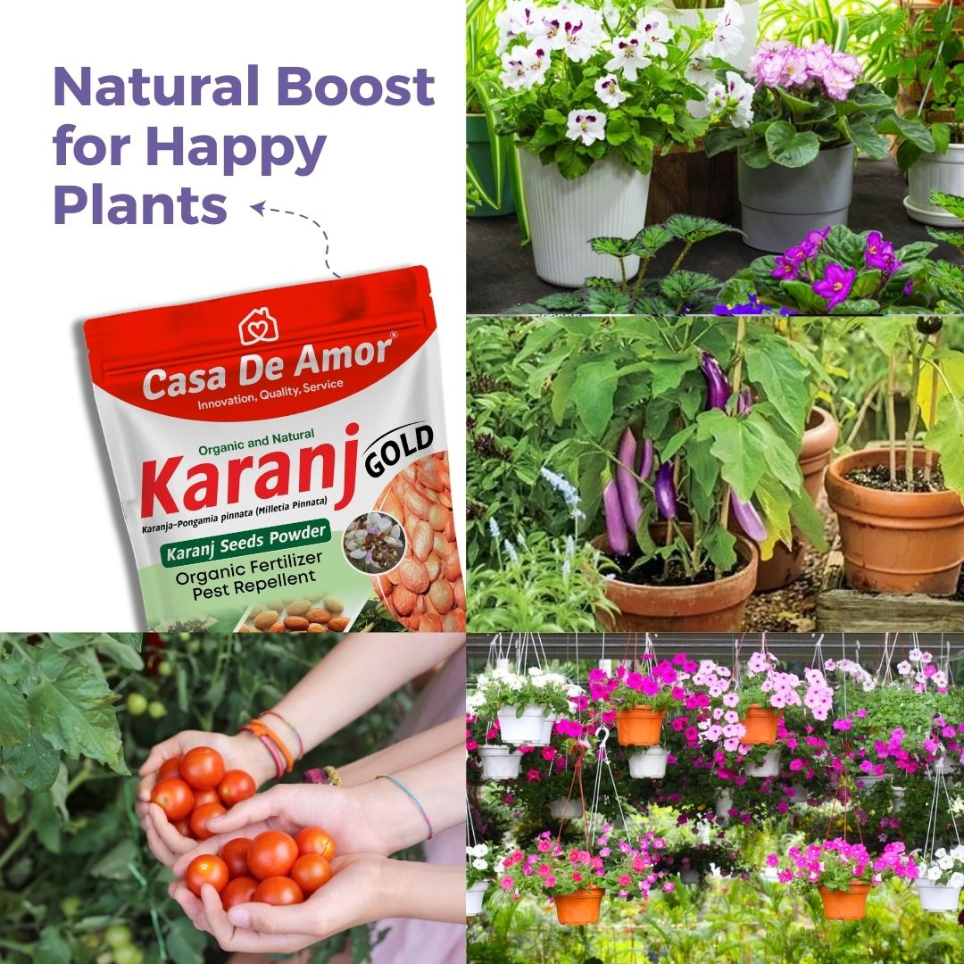 Karanj Powder Organic Fertilizer & Pest Repellent 900 gm