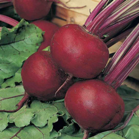 Beetroot- 50 Seeds
