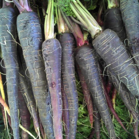 Carrot Black Wonder - 50 Seeds