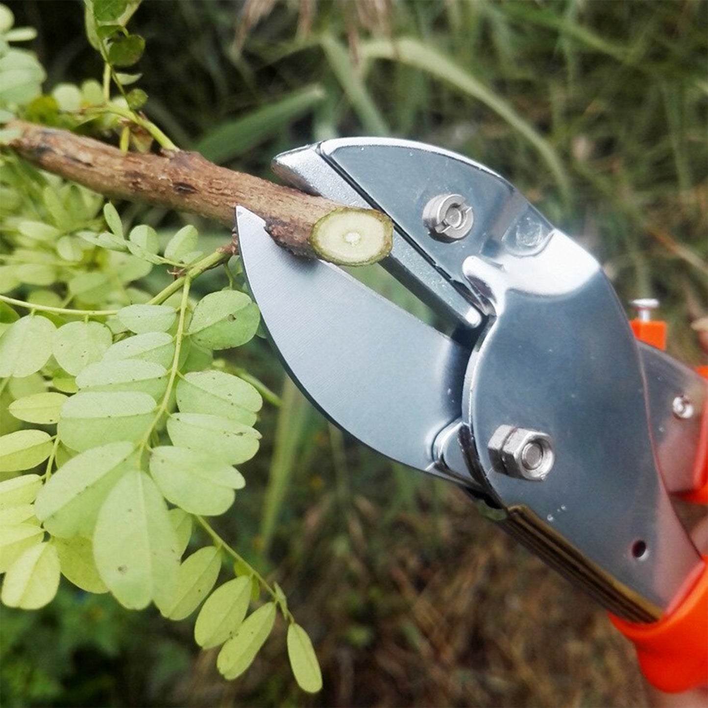 Casa De Amor Pruning Shear Cutter - 1 Pc ( Anvil Pruner, Steel Blade) | Plant Cutter for Home Garden | Wood Branch Trimmer
