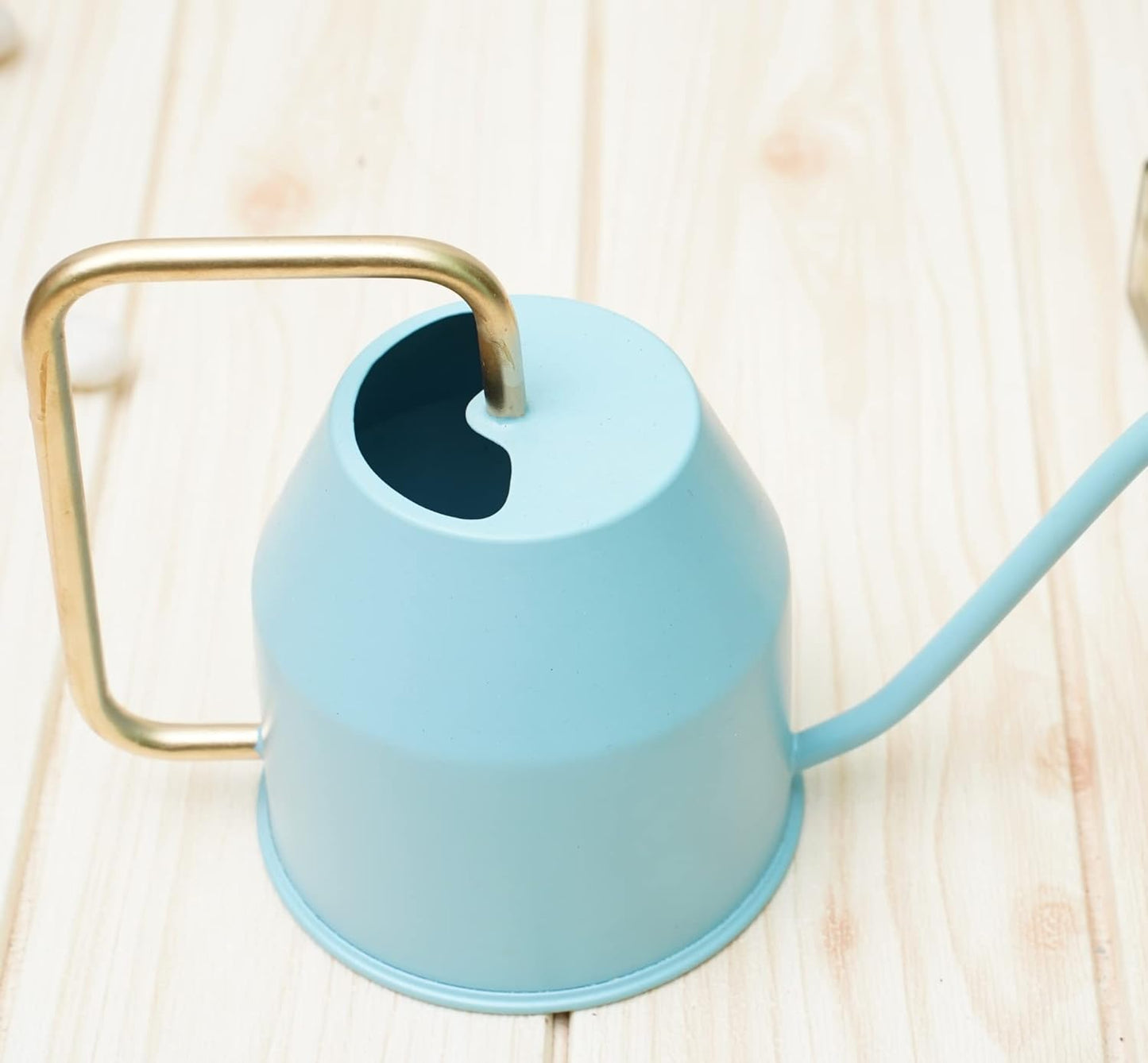 Casa De Amor Metal Watering Can (900 ml) with Long Spout for Indoor and Outdoor Gardening