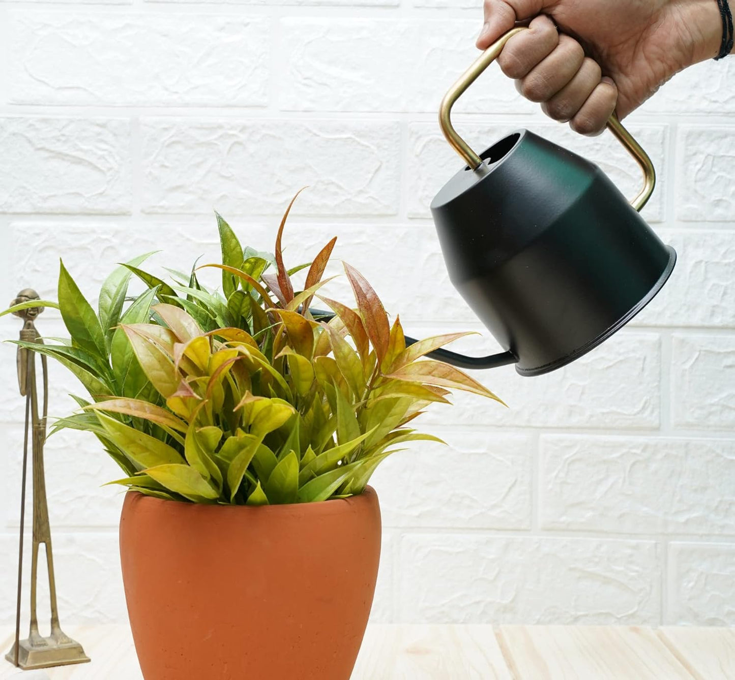 Casa De Amor Metal Watering Can (900 ml) with Long Spout for Indoor and Outdoor Gardening