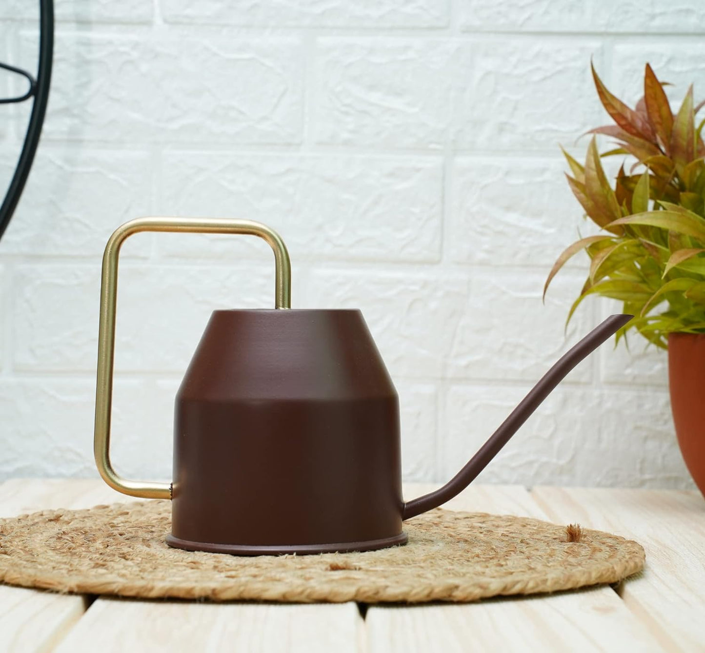 Casa De Amor Metal Watering Can (900 ml) with Long Spout for Indoor and Outdoor Gardening