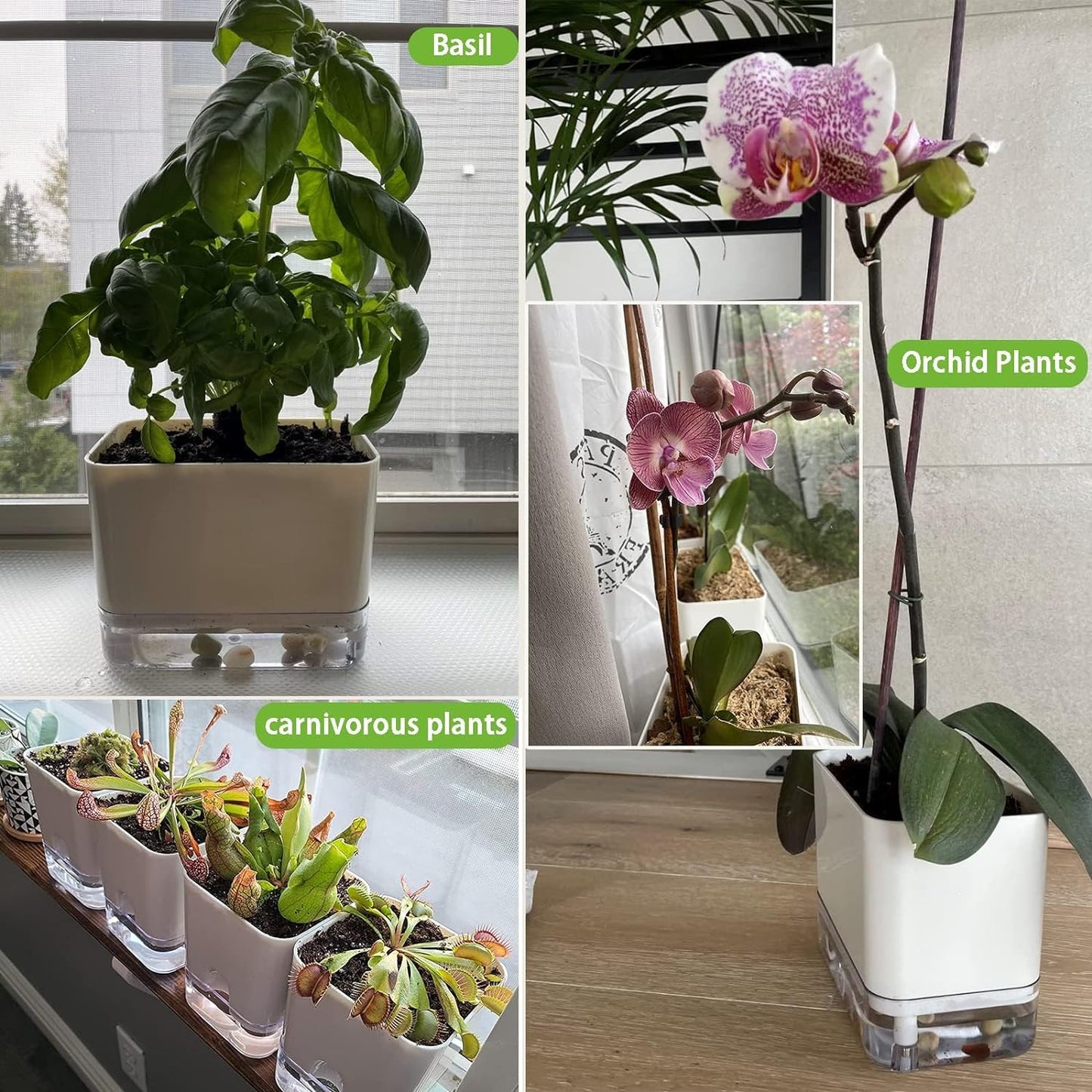 Casa De Amor Self Watering Pots for Indoor Plants | Home Decor, Living Room, Table Top | Plants not Included | 150gm Coco Brick Free