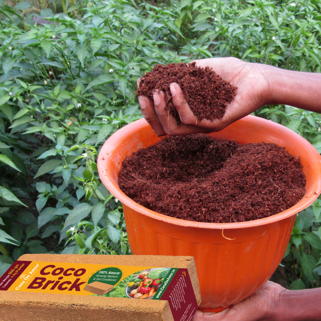 Casa De Amor Cocopeat Brick (650gm) High Water-Holding Capacity, Expands to 4kg Powder