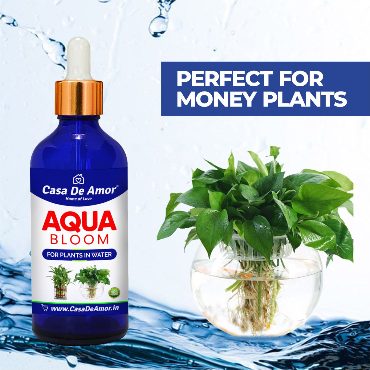 Casa De Amor- Aqua Bloom - Liquid Fertilizer for Lucky Bamboo, Money Plants & Aquatic Plants (in Water) 100 ml Premium Glass bottle with Glass dropper