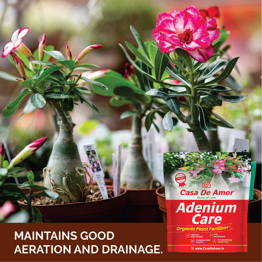 Casa De Amor Adenium Care Organic Fertilizer for Adenium Plants, Multi Micronutrients Fertilizer
