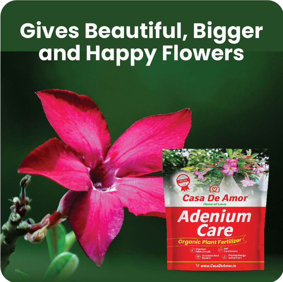 Casa De Amor Adenium Care Organic Fertilizer for Adenium Plants, Multi Micronutrients Fertilizer