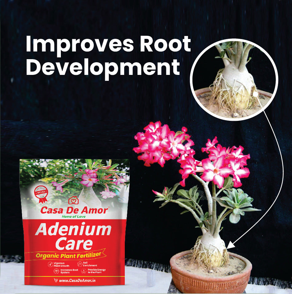 Casa De Amor Adenium Care Organic Fertilizer for Adenium Plants, Multi Micronutrients Fertilizer