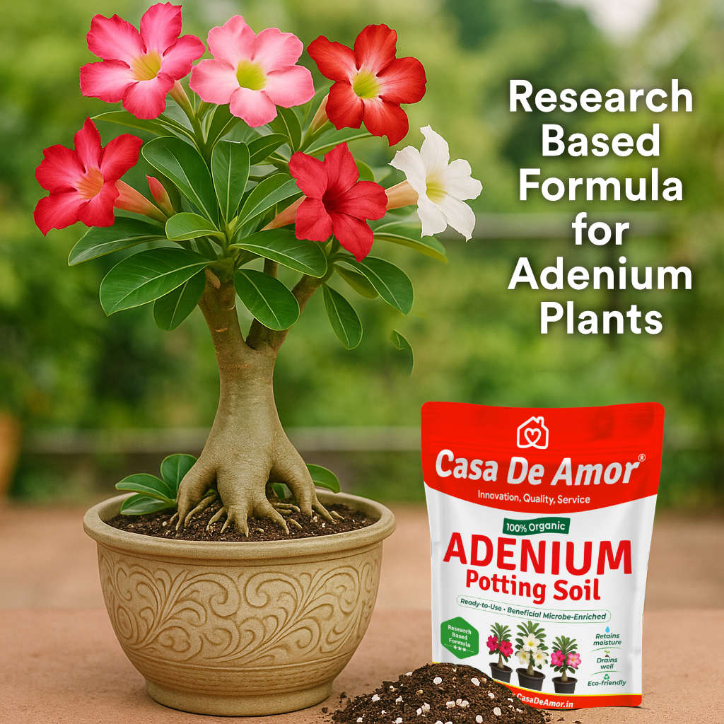 Casa De Amor Adenium Organic Potting Soil Ready to use