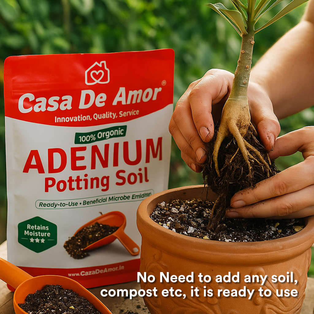 Casa De Amor Adenium Organic Potting Soil Ready to use