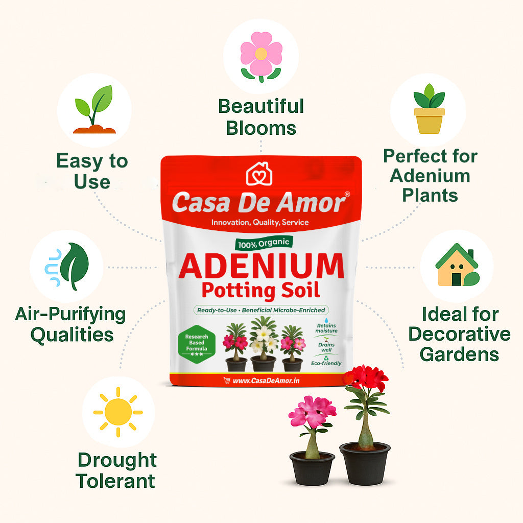 Casa De Amor Adenium Organic Potting Soil Ready to use