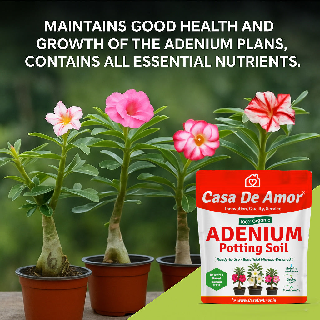 Casa De Amor Adenium Organic Potting Soil Ready to use