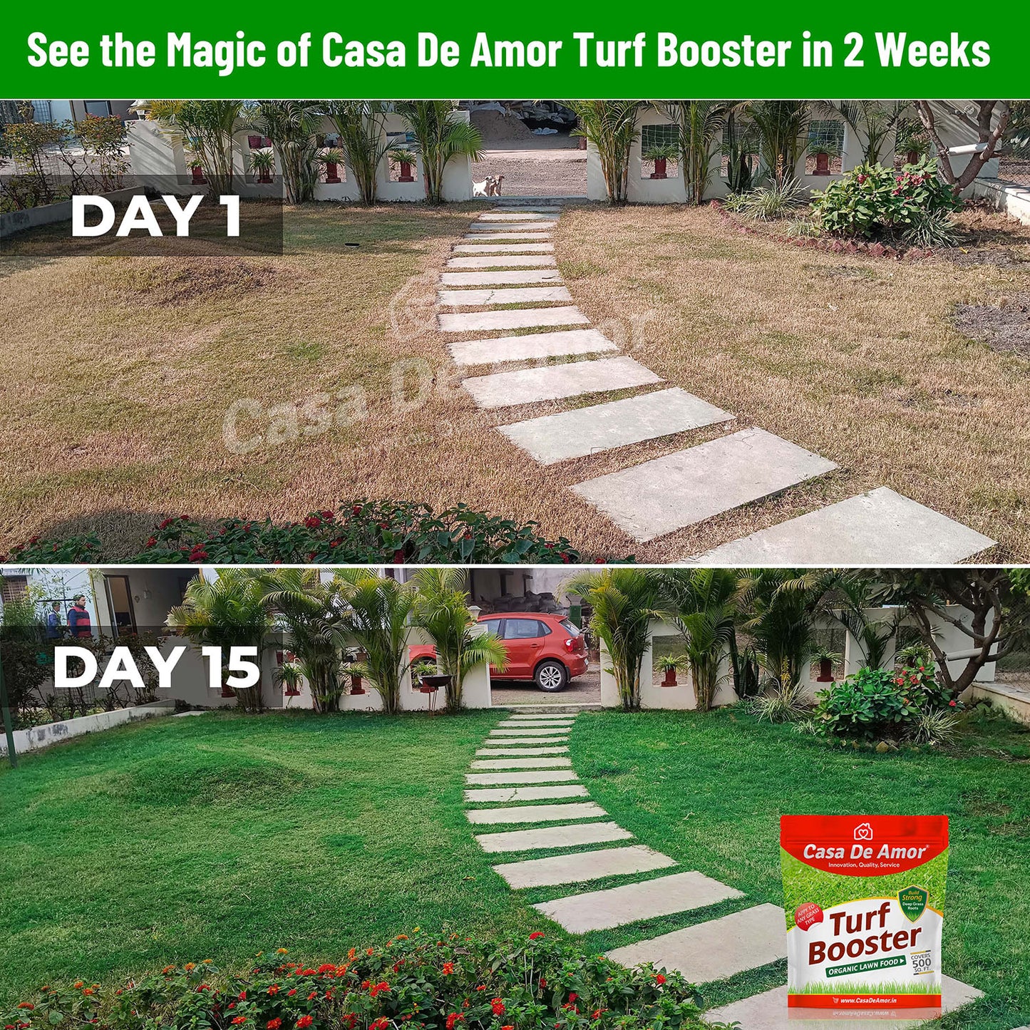 Casa De Amor Turf Booster Lawn Fertilizer Granules, Build Thick-Green Lawns (5 kg Bag Covers 500 sq. ft.)