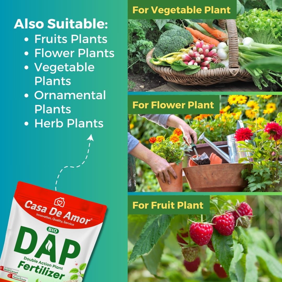 Casa De Amor Bio DAP Plant Food for Home & Garden Plants | Water Soluble | 400 gm Granules