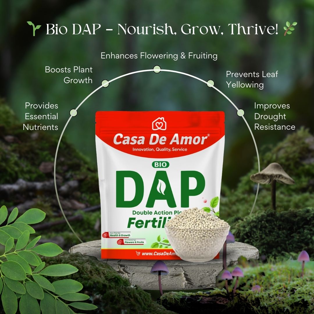Casa De Amor Bio DAP Plant Food for Home & Garden Plants | Water Soluble | 400 gm Granules