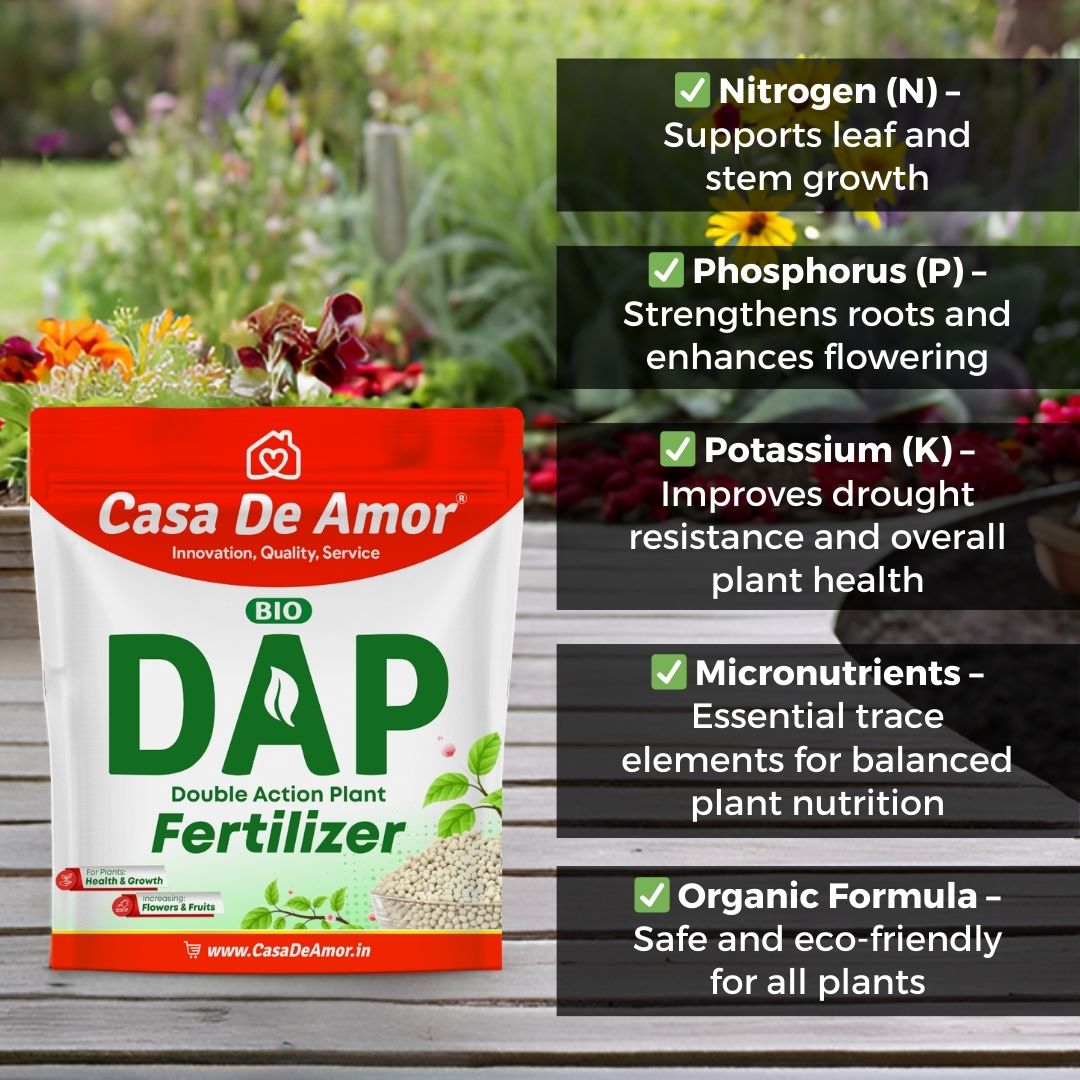Casa De Amor Bio DAP Plant Food for Home & Garden Plants | Water Soluble | 400 gm Granules