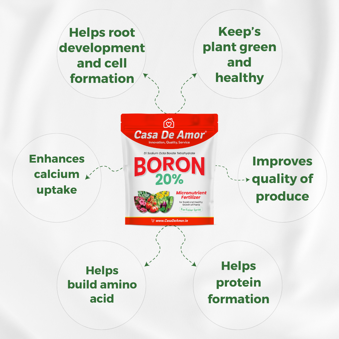 Casa De Amor Boron 20% Micronutrient Fertilizer for Healthy Growth of Vegetable Plants and Gardening