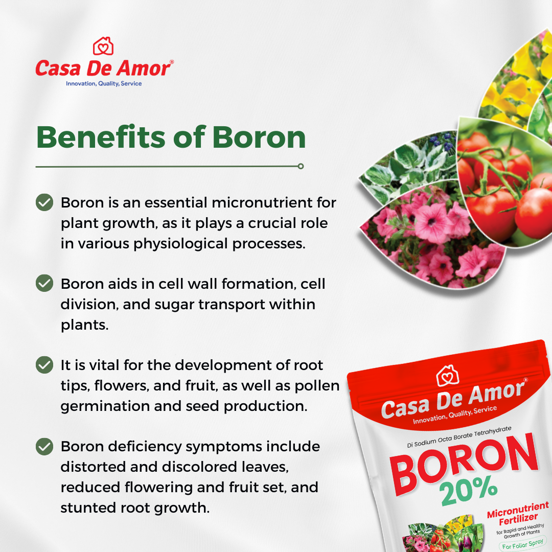 Casa De Amor Boron 20% Micronutrient Fertilizer for Healthy Growth of Vegetable Plants and Gardening