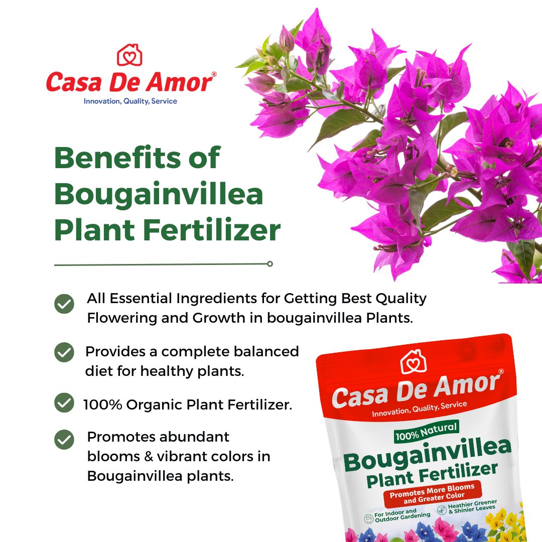 Casa De Amor Bougainvillea Plant Fertilizer, Promotes More Blooms and Greater Color