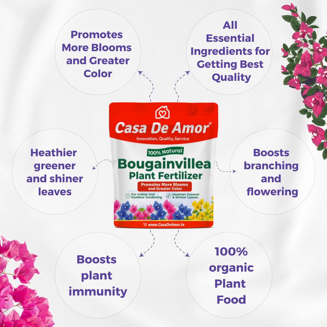 Casa De Amor Bougainvillea Plant Fertilizer, Promotes More Blooms and Greater Color