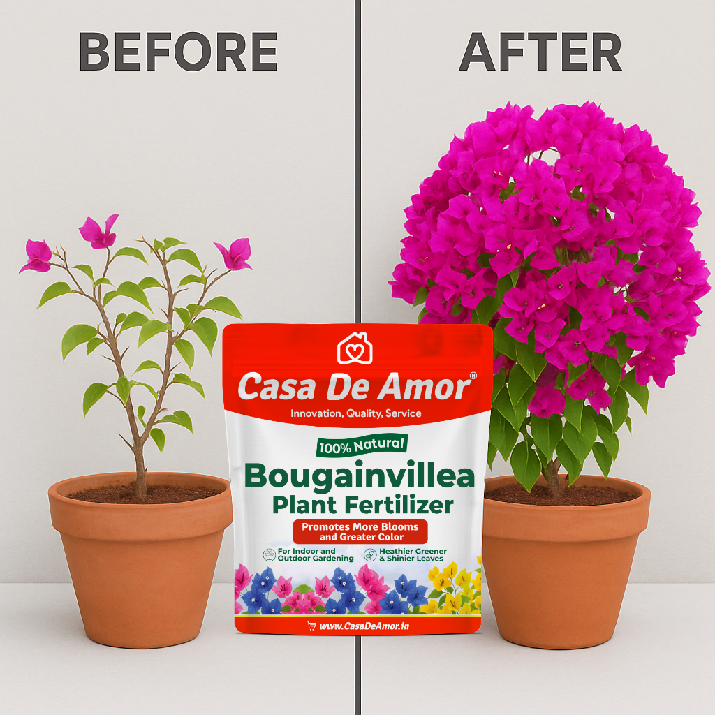 Casa De Amor Bougainvillea Plant Fertilizer, Promotes More Blooms and Greater Color