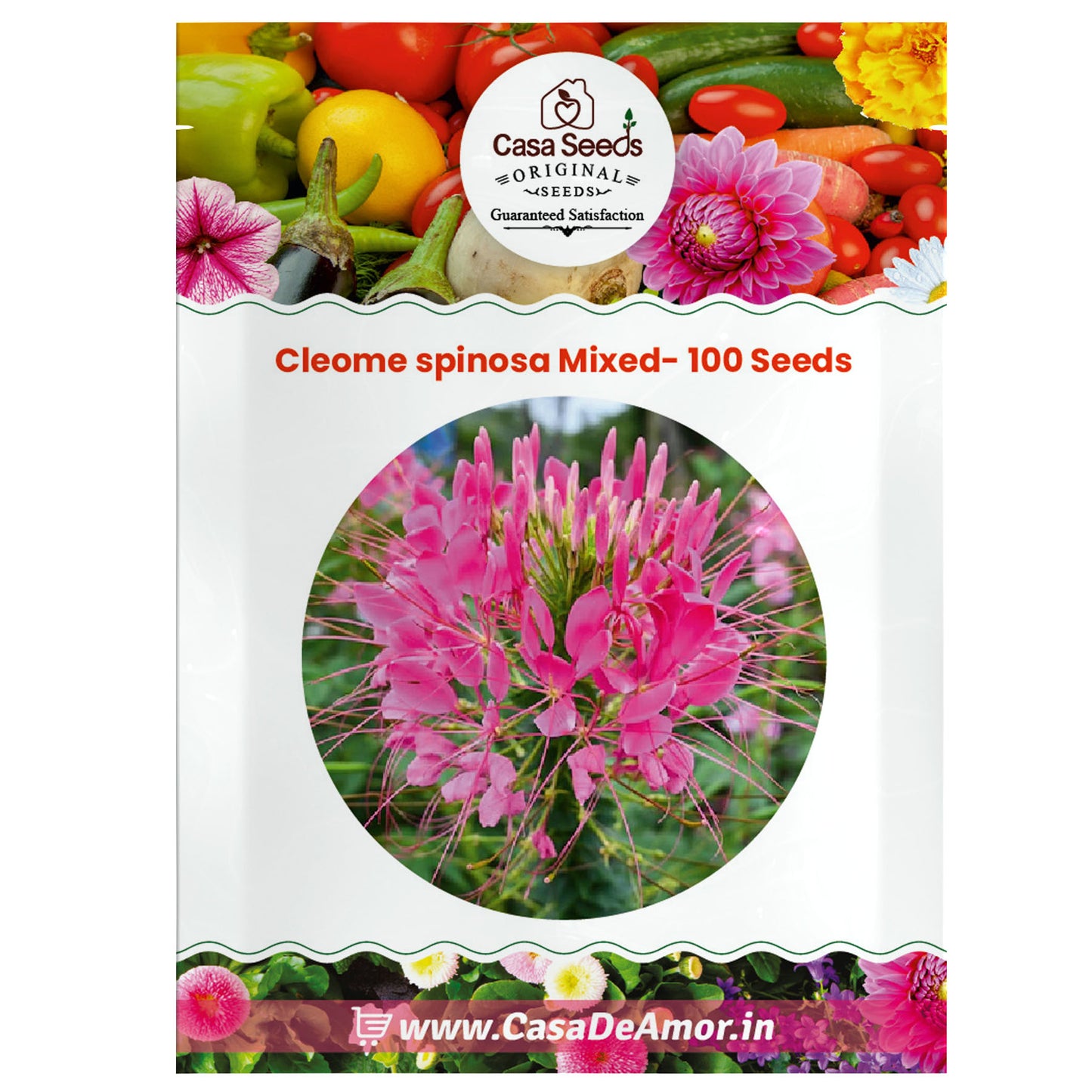 Cleome spinosa Mixed- 100 Seeds