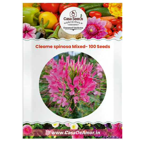Cleome spinosa Mixed- 100 Seeds