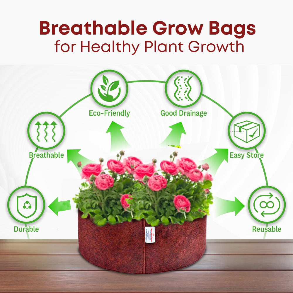 Casa De Amor 350 GSM Geo Fabric Round Plant Grow Bag for Gardening (Maroon) 12x6 Inch