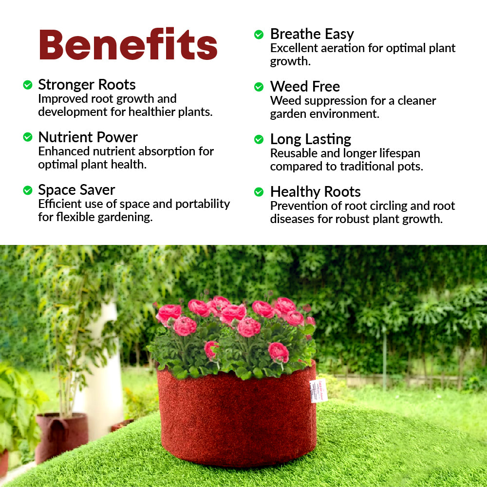 Casa De Amor 350 GSM Geo Fabric Round Plant Grow Bag for Gardening (Maroon) 12x6 Inch