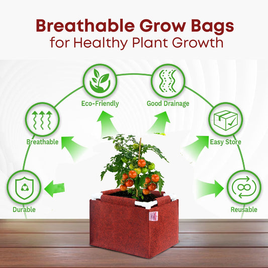 Casa De Amor 350 GSM Geo Fabric Rectangular Plant Grow Bag with PVC Pipe Support Suitable for Vegetable Terrace Gardening (Maroon)