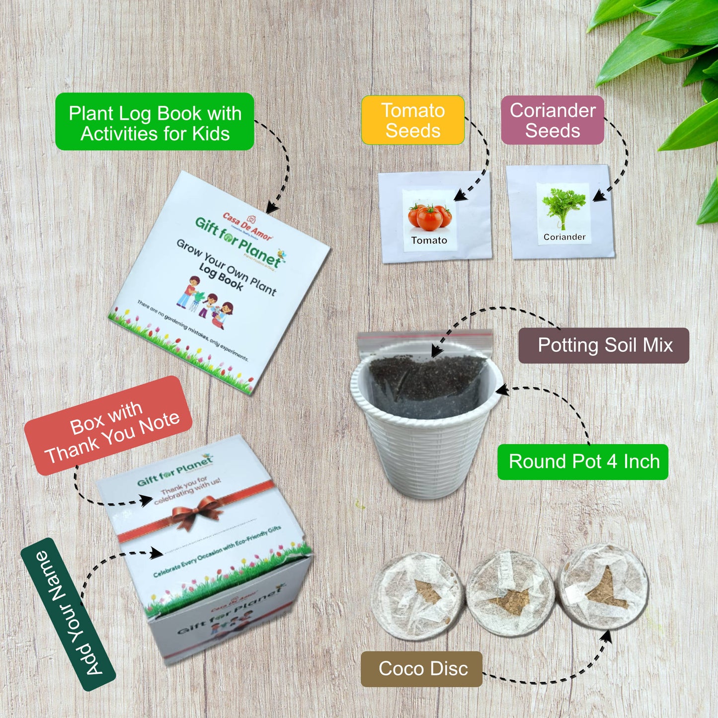 Casa De Amor Gift for Planet Grow Your Own Vegetable Kit for Kids – DIY Gardening Kit with Pot, Seeds, Soil – Eco-Friendly Return Gift