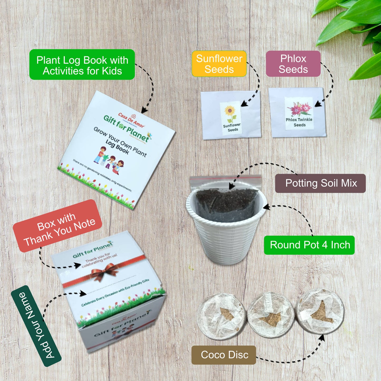 Casa De Amor Gift for Planet Grow Your Own Flower Kit for Kids – DIY Gardening Kit with Pot, Seeds, Soil – Eco-Friendly Return Gift