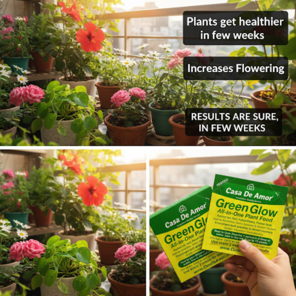 Casa De Amor Green Glow All‑In‑One Plant Food – 200g | 10 Sachets | Complete NPK + Micronutrients for Fast Growth & Greener Leaves